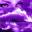 natalya.sh