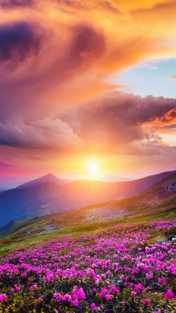 Александр 14