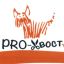 proXBOCT